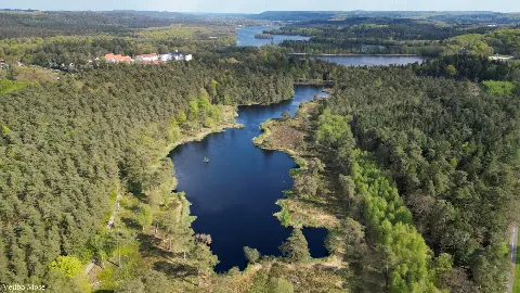 Vejlbomose og Aboretet – Foto 1