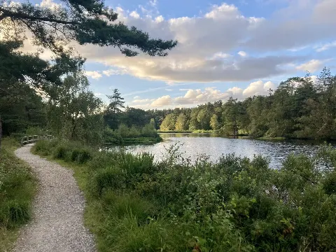 Vejlbomose og Aboretet – Foto 2