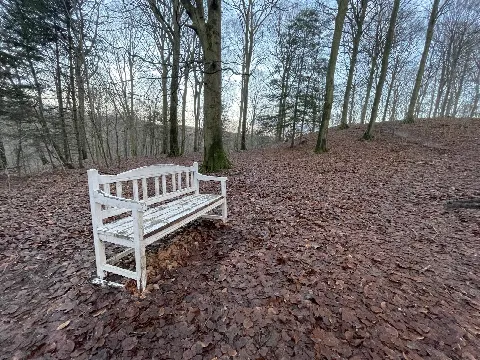 Sofienlund Skov – Foto 1