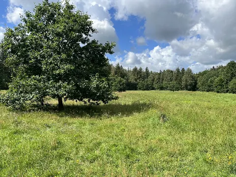 Frøslev Plantage – billede 1