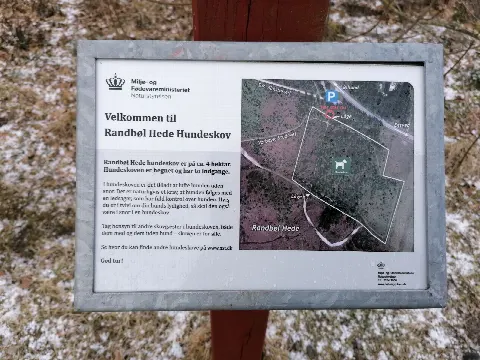 Randbøl Hede hundeskov – Foto 4