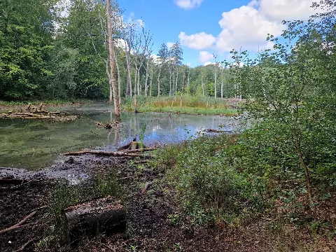 Hareskovene, Bøndernes Hegn – billede 2