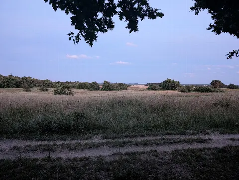 Gilbjerghoved Hundeskov – Foto 1