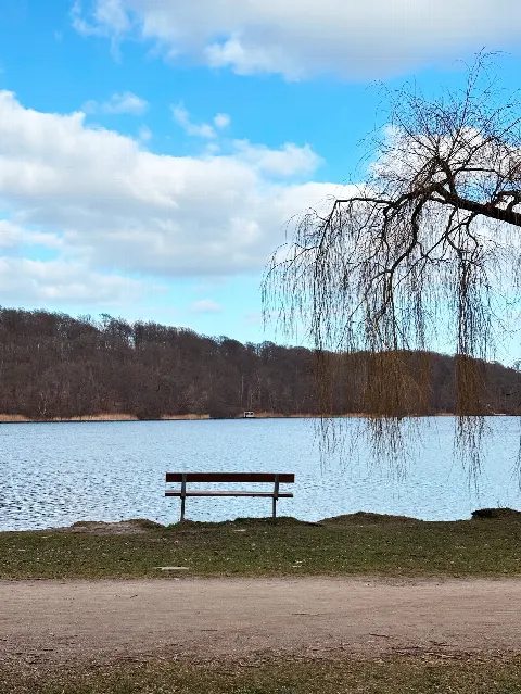 Aldershvile Hundeskov – billede 1