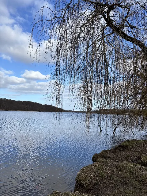 Aldershvile Hundeskov – billede 2