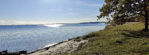 Bognæs Skov – Foto 3