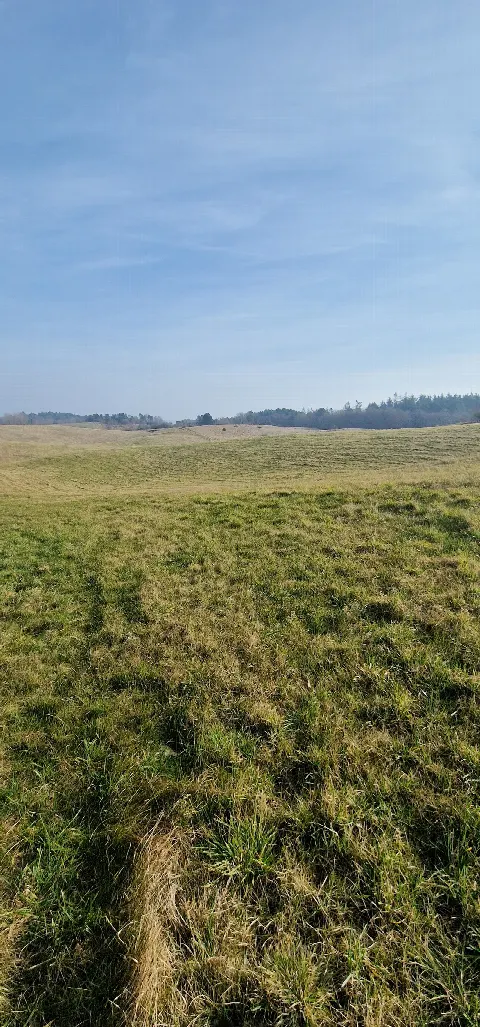 Ellemandsbjerget Helgenæs – billede 2