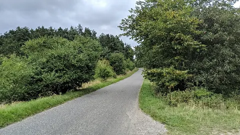 Ellemandsbjerget Helgenæs – billede 3