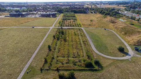 Ringsted Hundeskov, del 1 – Foto 6