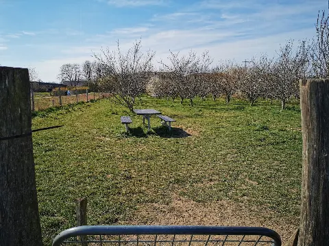 Ringsted Hundeskov, del 1 – Foto 4