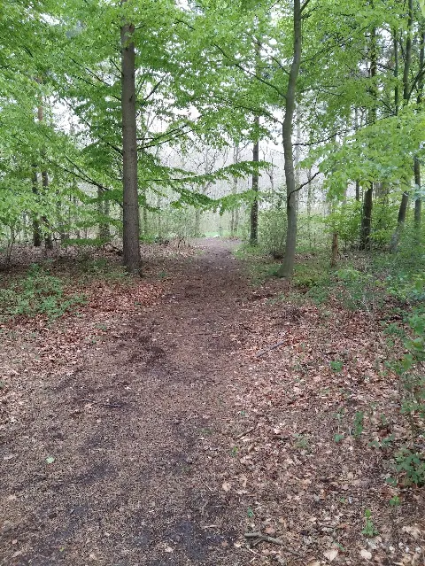 Auning Hundepark – billede 1