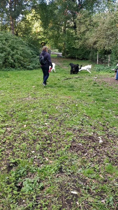 Hospitalsparken – Foto 2