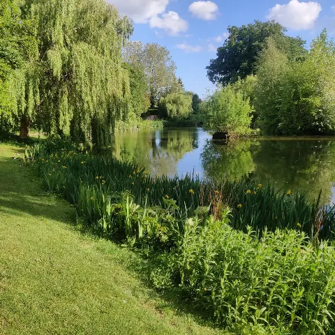 Hospitalsparken – Foto 1