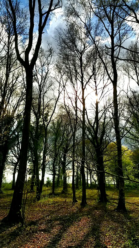 Kolind Hundeskov – Foto 5