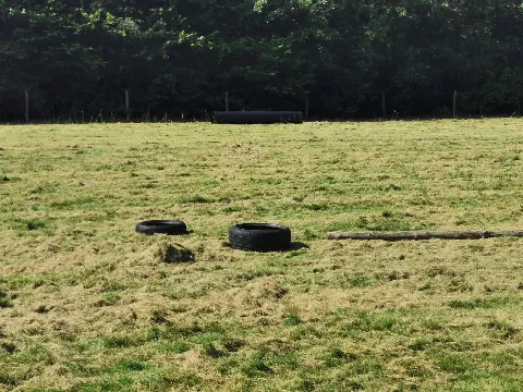 Tørring Hundemark – Foto 6