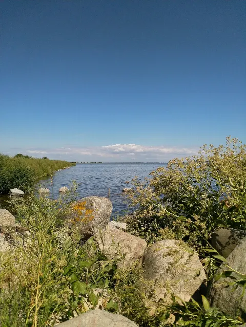 Dragør hundelegeplads – Foto 7