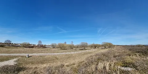 Hundeengen ved Vallensbæk Strandpark – photo 6