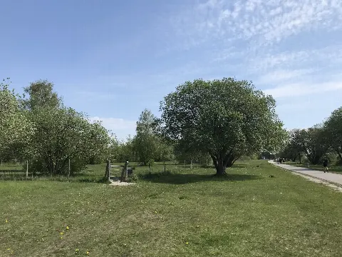 Hundeengen ved Vallensbæk Strandpark – photo 5
