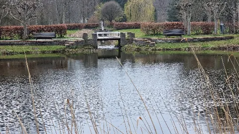 Solgårdsparken Hundeskov – Foto 7