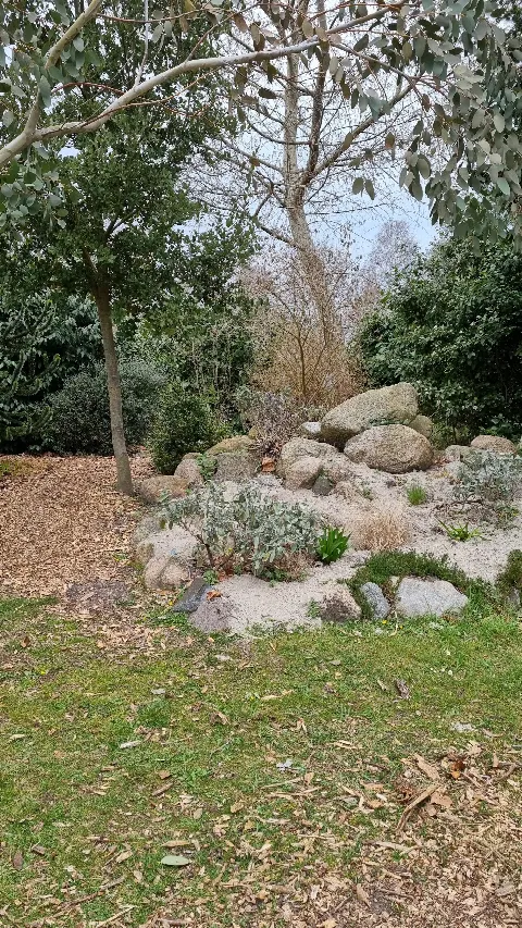 Solgårdsparken Hundeskov – Foto 10