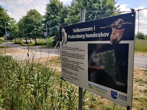 Pedersborg Hundeskov – Foto 6