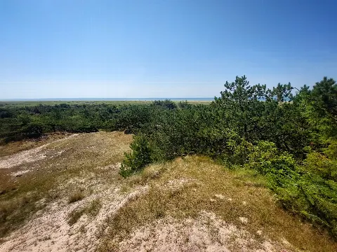 Fanø Plantage – billede 1